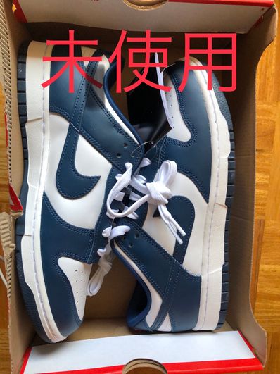 Nike Dunk Low "Valerian Blue"