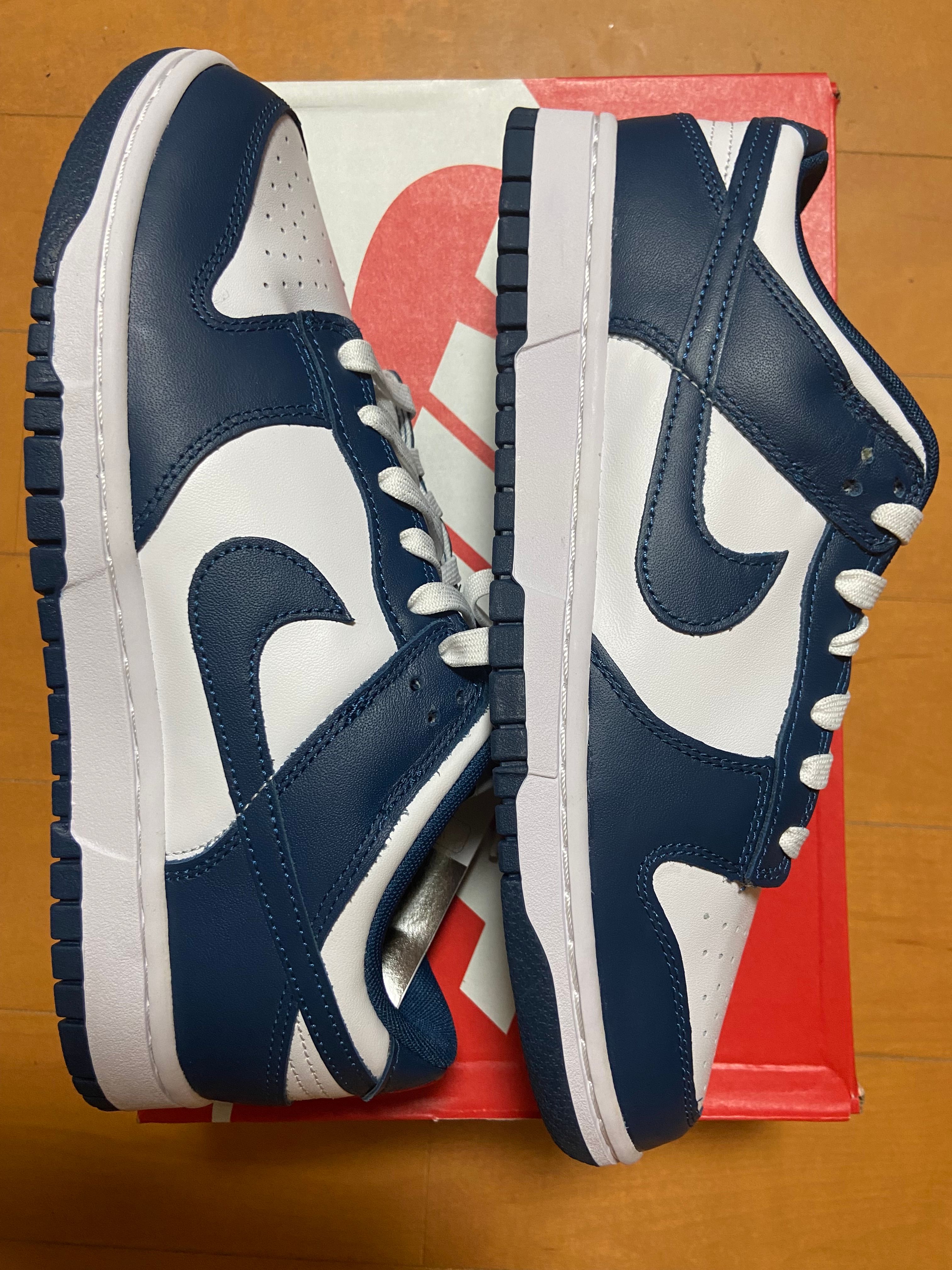 Nike Dunk Low "Valerian Blue"