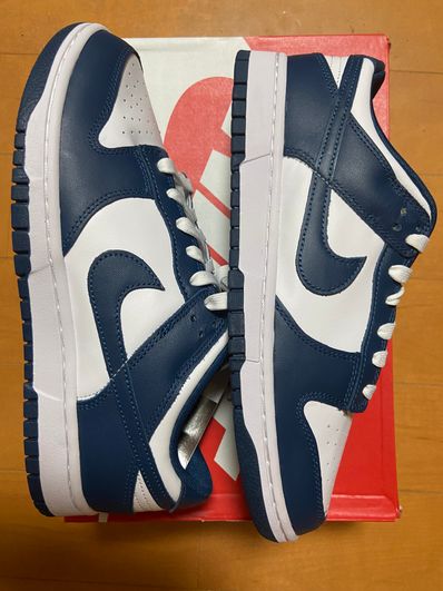 Nike Dunk Low "Valerian Blue"