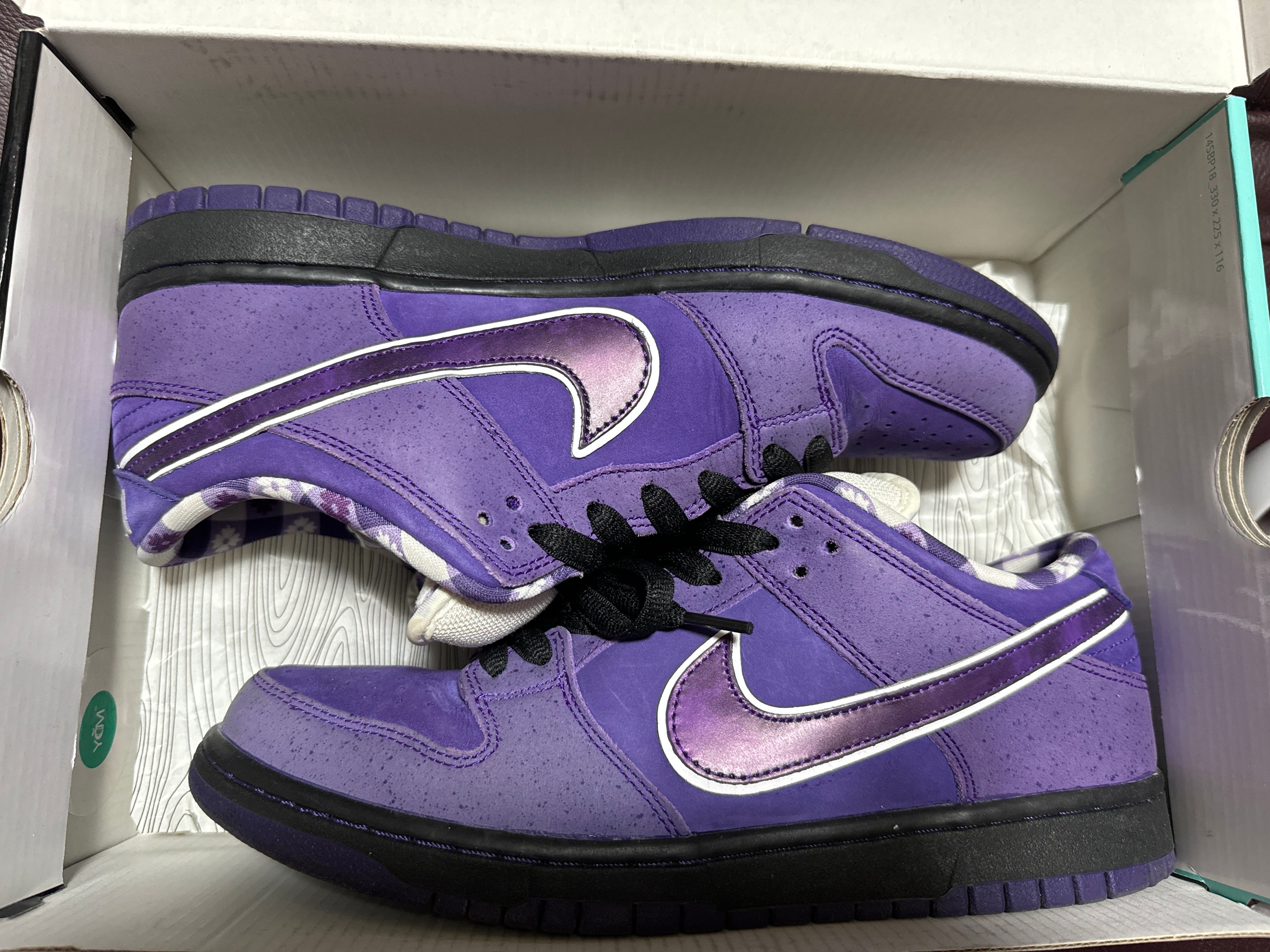 Concepts × Nike SB Dunk Low "Purple Lobster"
