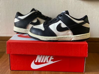 Nike TD Dunk Low "White/Black"