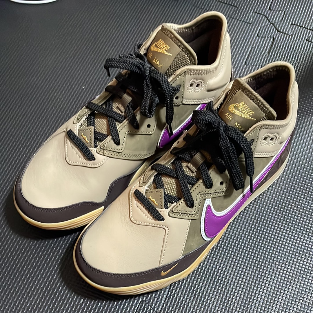 atmos × Nike LeBron 18 Low "Viotech"