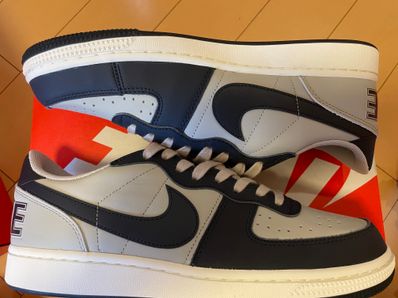 Nike Terminator Low "Dark Obsidian and Granite/Georgetown"(2023)