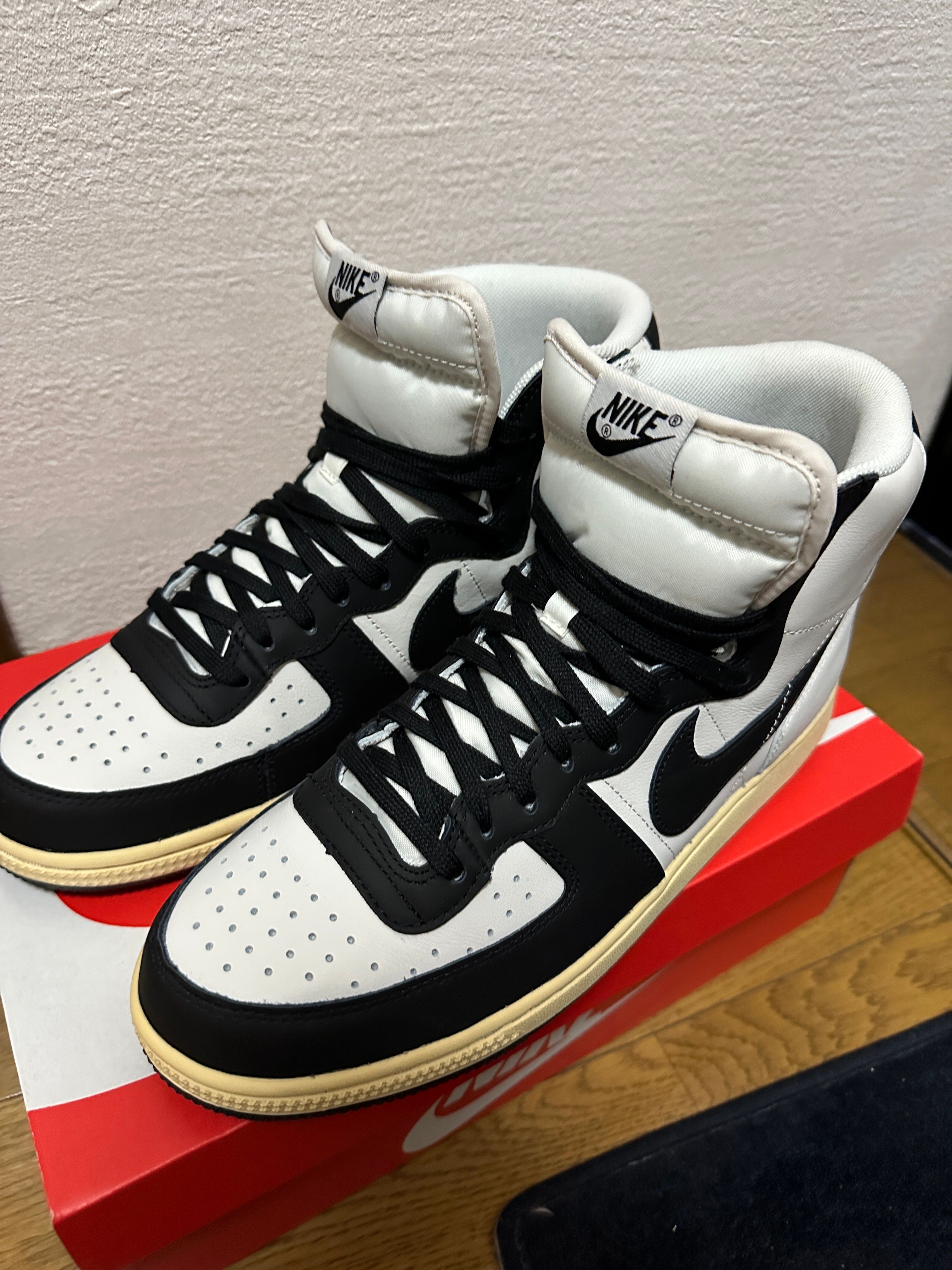 Nike Terminator High "Black and Phantom"