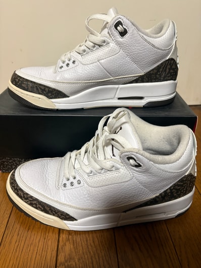 Nike Air Jordan 3 Retro "Mocha" (2018)