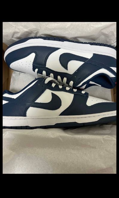 Nike Dunk Low "Valerian Blue"