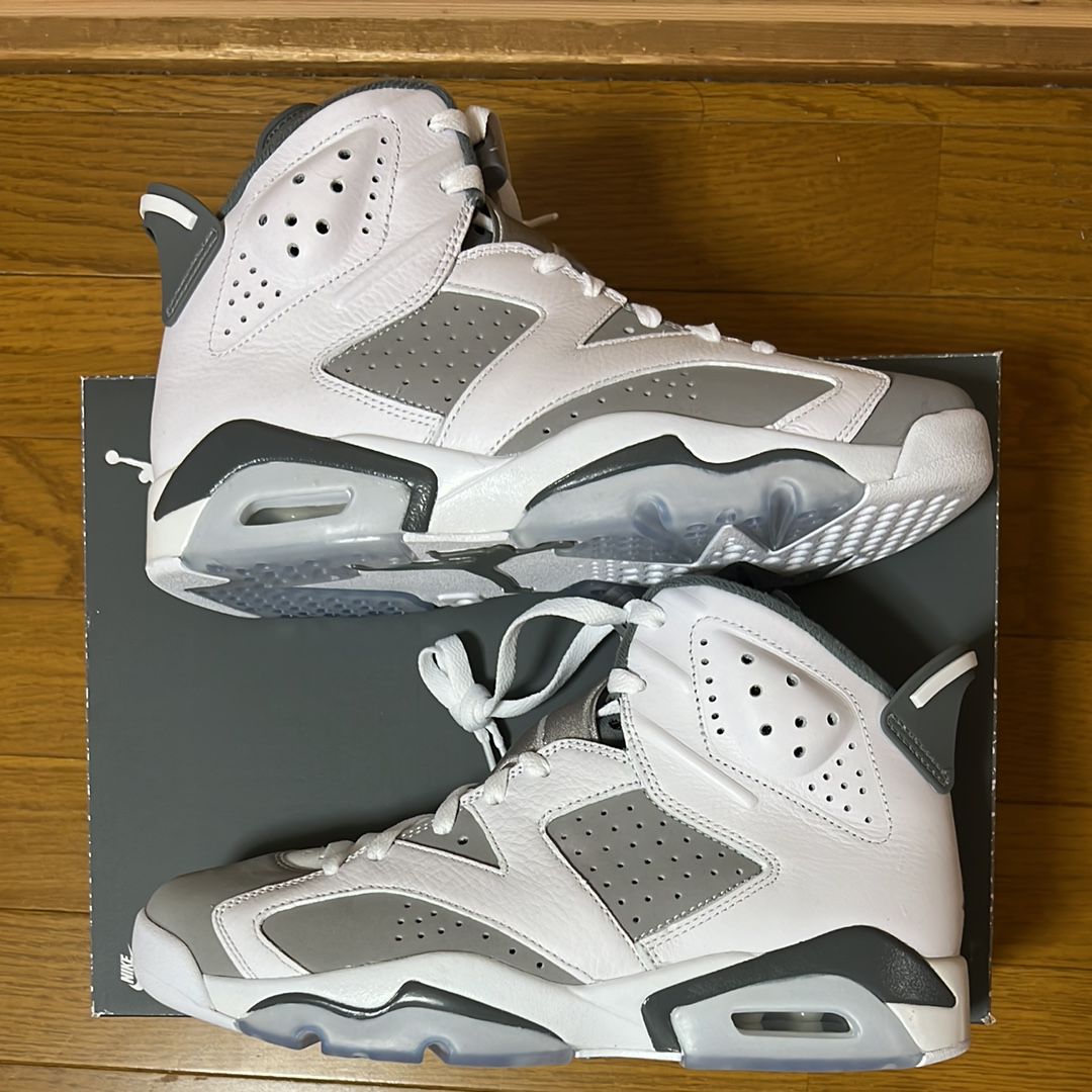 Nike Air Jordan 6 "Cool Grey"