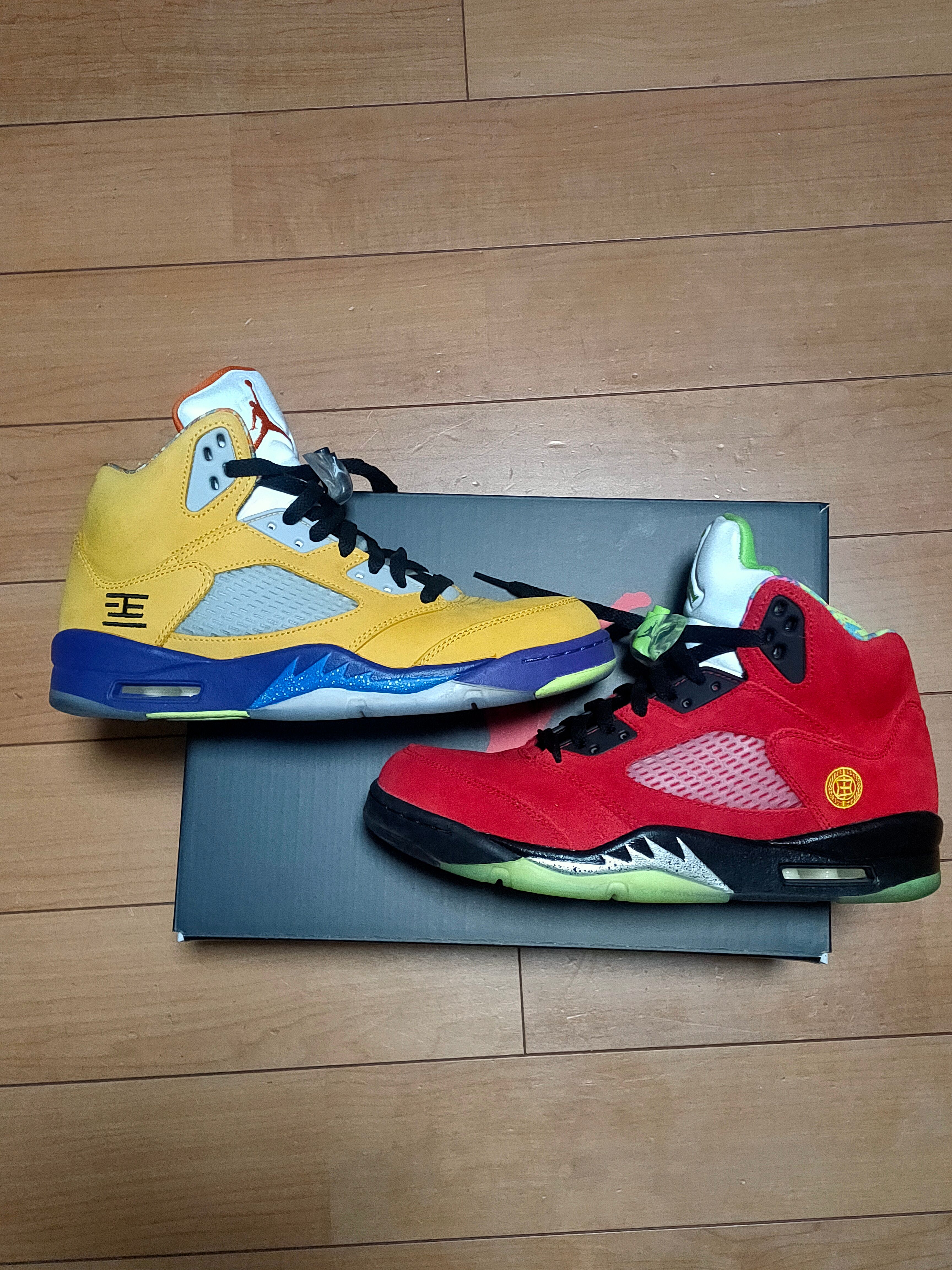 Nike Air Jordan 5 "What The"