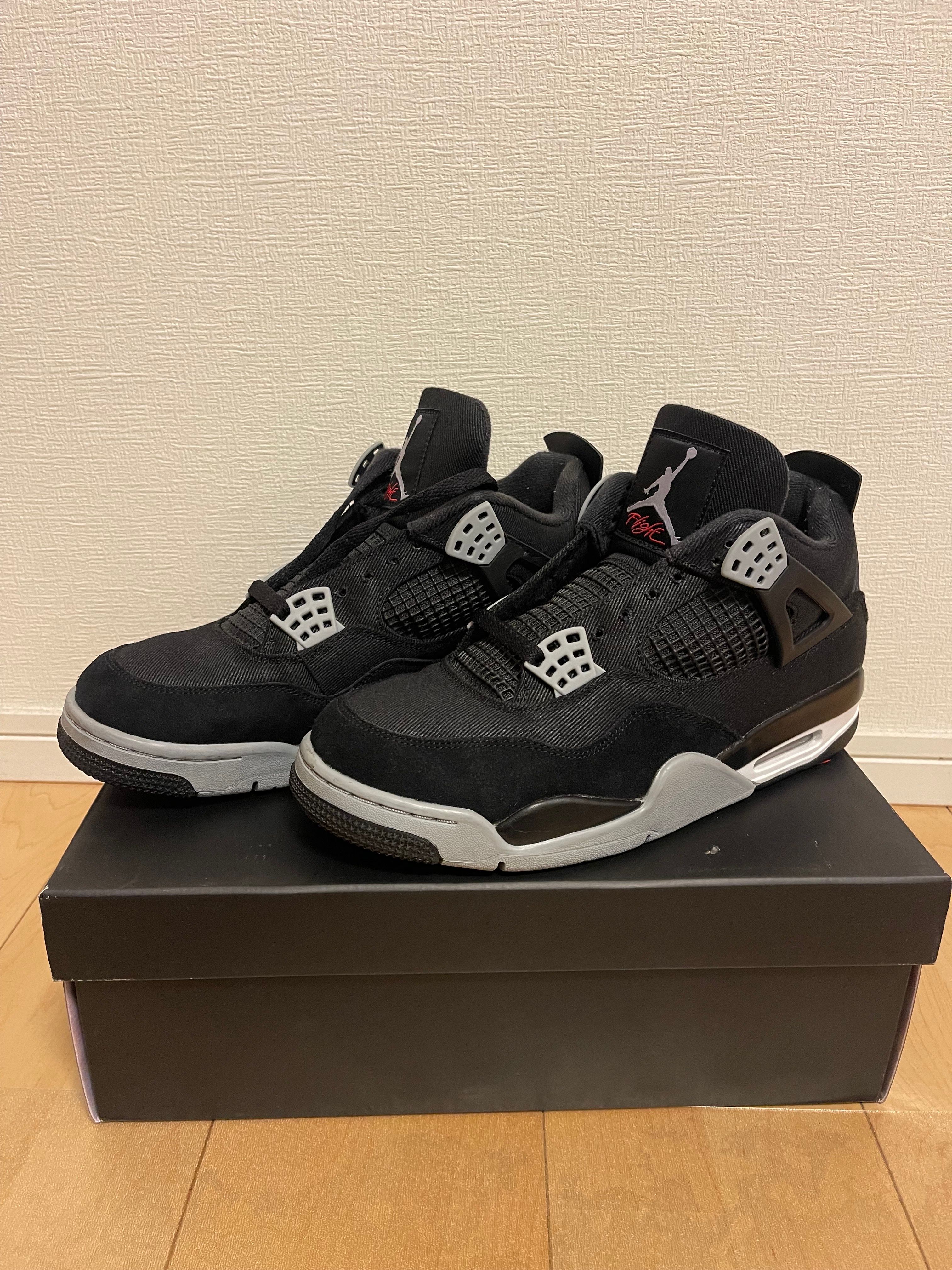 Nike Air Jordan 4 SE "Black and Light Steel"