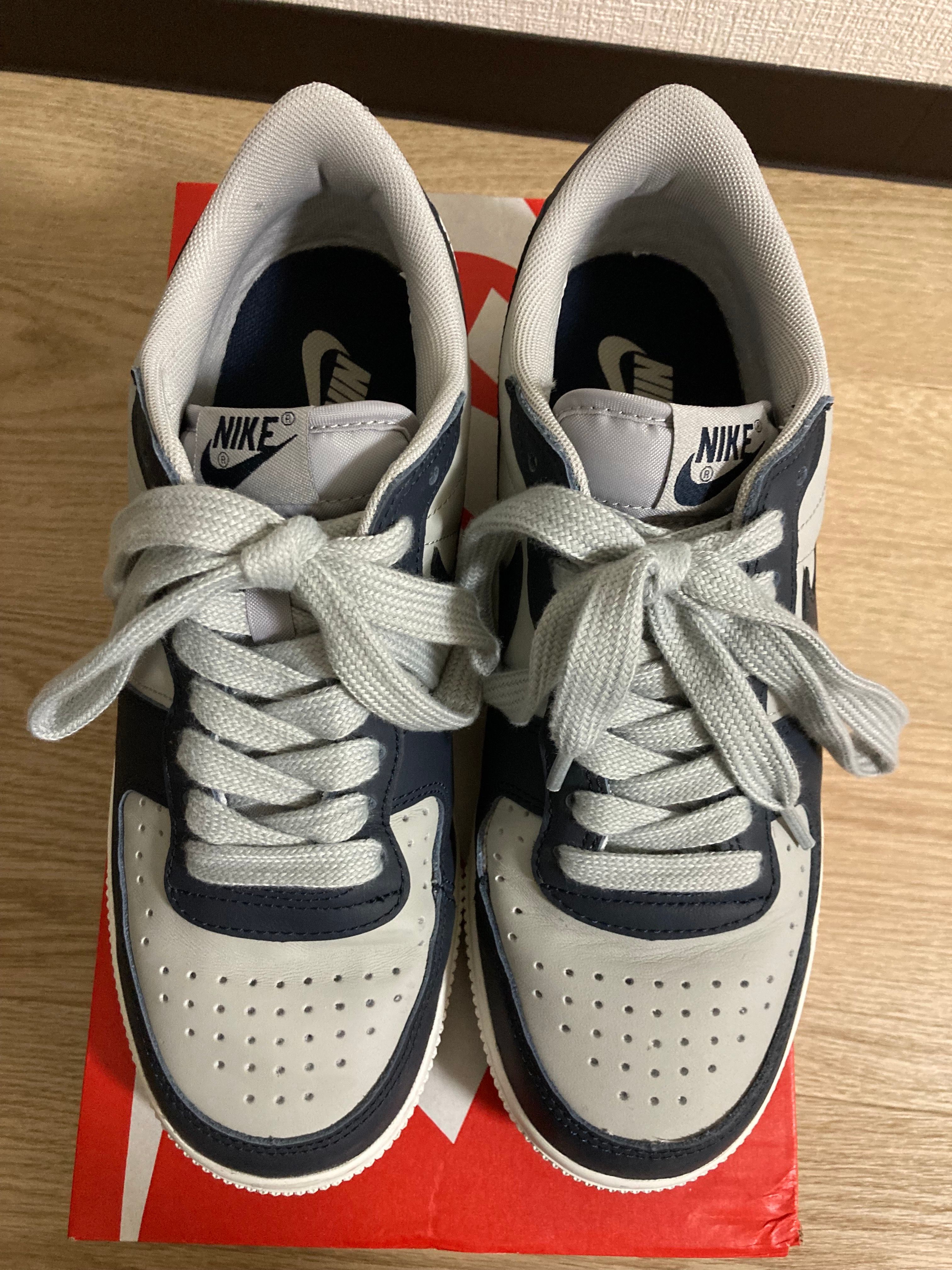 Nike Terminator Low "Dark Obsidian and Granite/Georgetown"(2023)