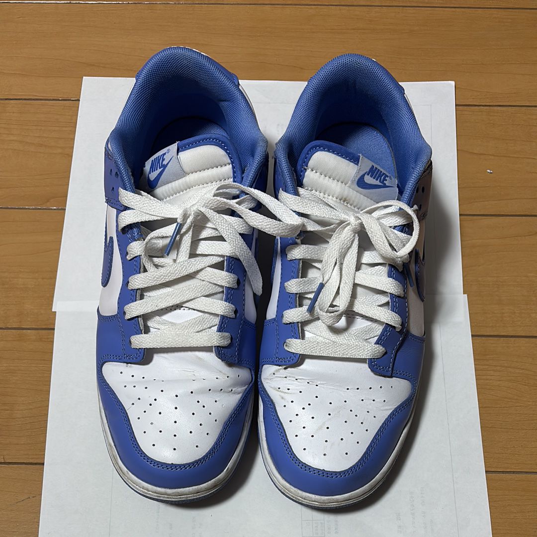 Nike Dunk Low Retro BTTYS "Polar Blue"