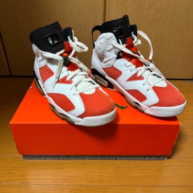 Nike Air Jordan 6 Retro "Gatorade Like Mike White"