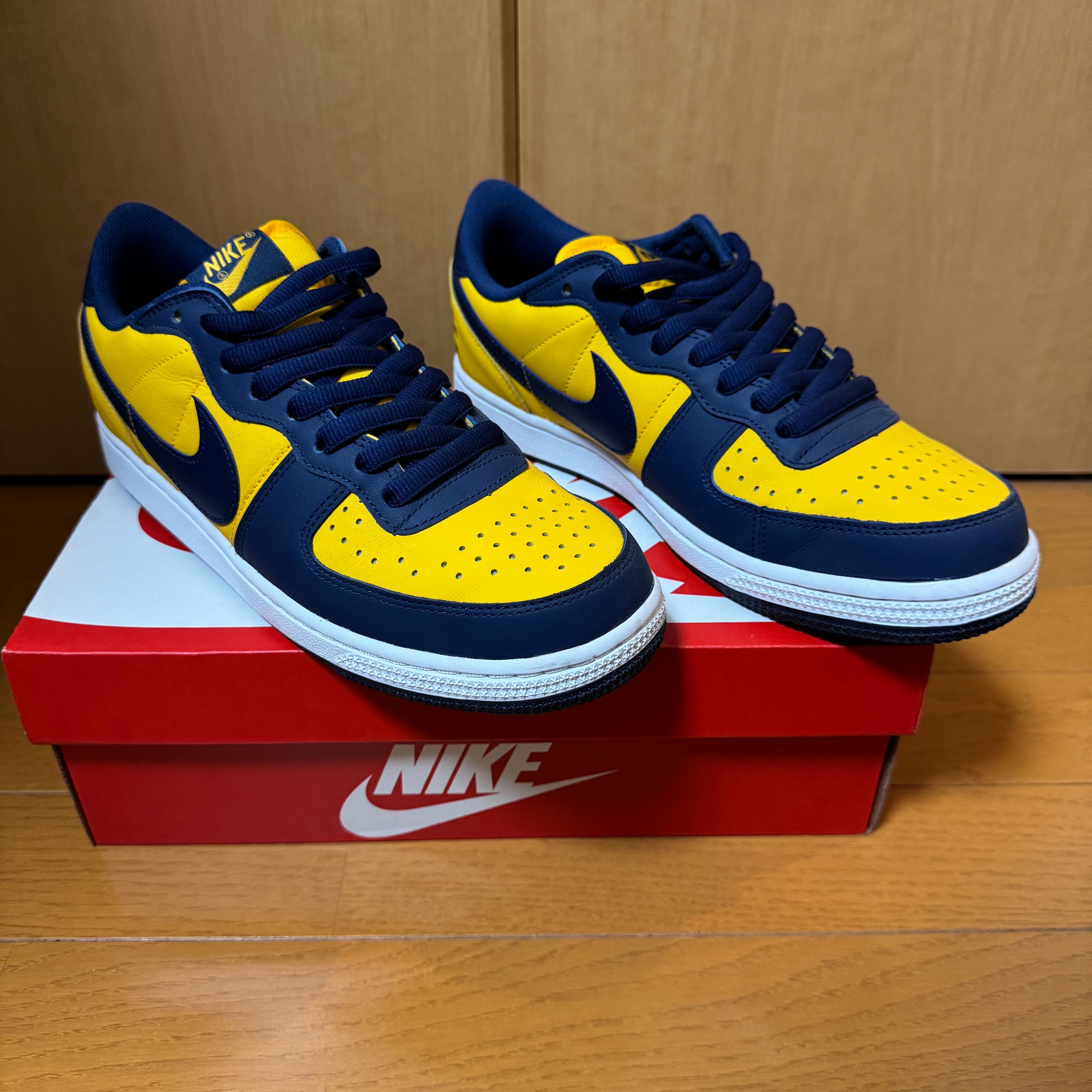 NIKE ダンク ターミネーターロー 27cm NIKE（ナイキ） NIKE TERMINATOR LOW ターミネーター ロー メンズ