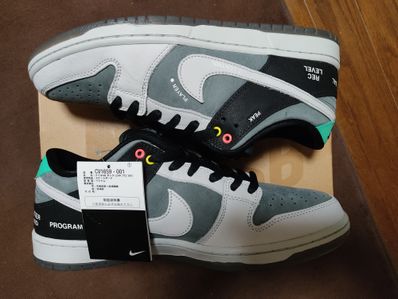 Nike SB Dunk Low Pro "VX1000 Camcorder"