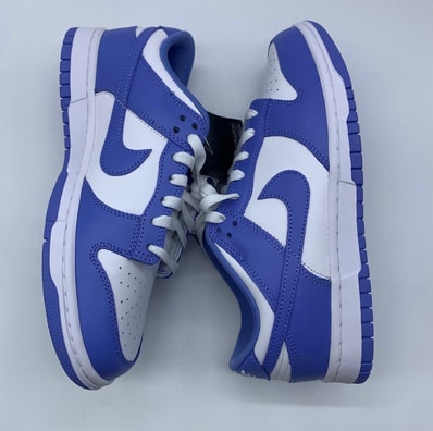 Nike Dunk Low Retro BTTYS "Polar Blue"