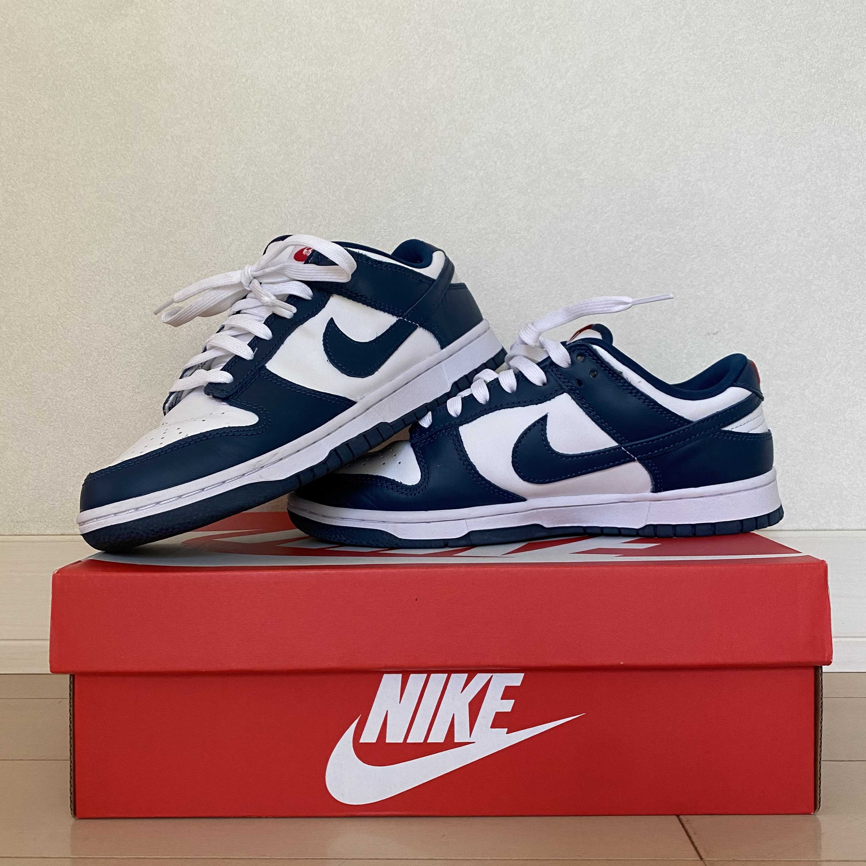 Nike Dunk Low "Valerian Blue"