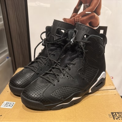 Nike Air Jordan 6 Retro "Black Cat"
