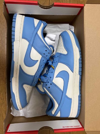 Nike Women's Dunk Low "Coast"