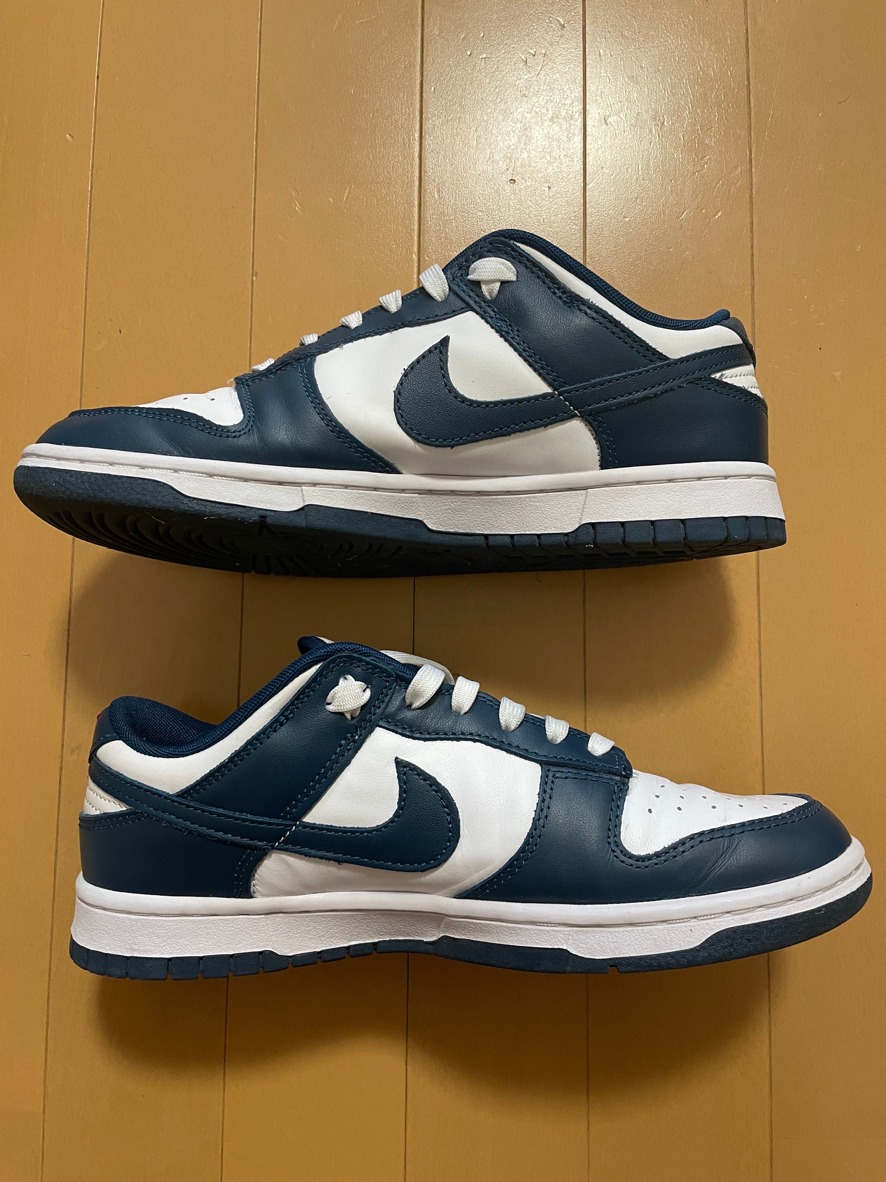 Nike Dunk Low "Valerian Blue"