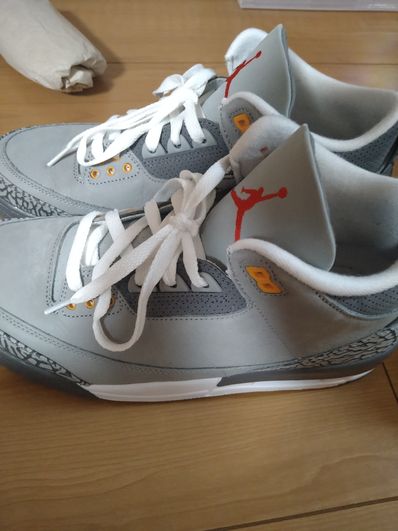 Nike Air Jordan 3 "Cool Grey"