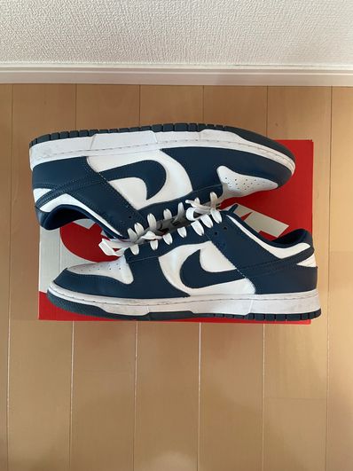 Nike Dunk Low "Valerian Blue"