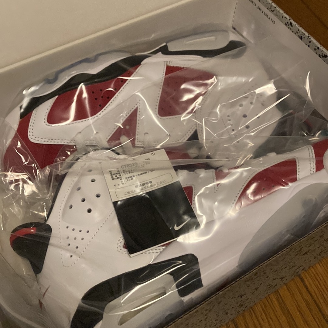 Nike Air Jordan 6 "Carmine" (2021)