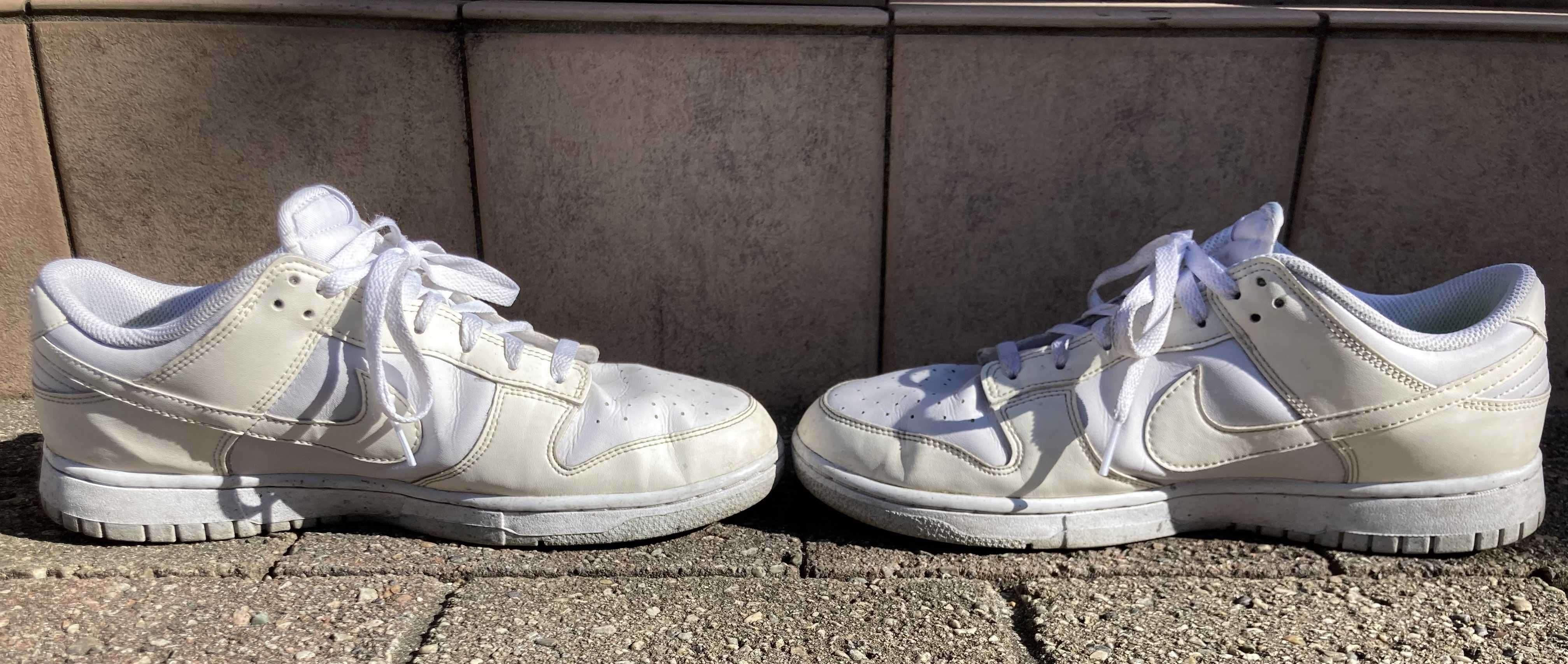 Nike Women's Dunk Low Next Nature "Sail"