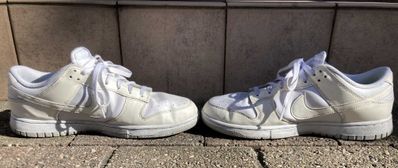 Nike Women's Dunk Low Next Nature "Sail"