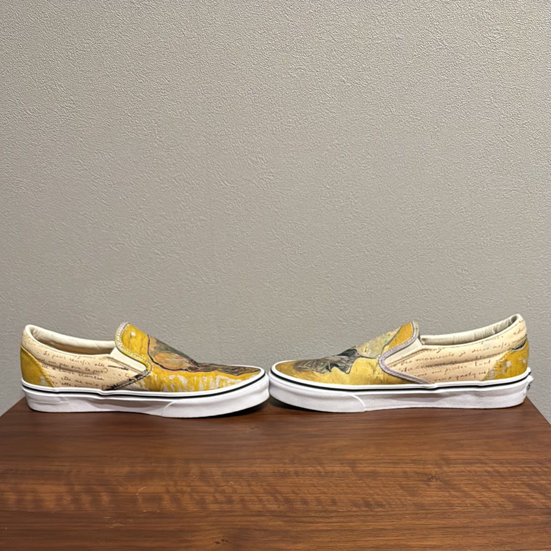 Van Gogh × Vans Slip-On "Skull"