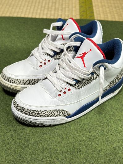 Nike Air Jordan 3 Retro "True Blue" (2016)