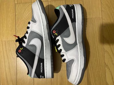 Nike SB Dunk Low Pro "VX1000 Camcorder"
