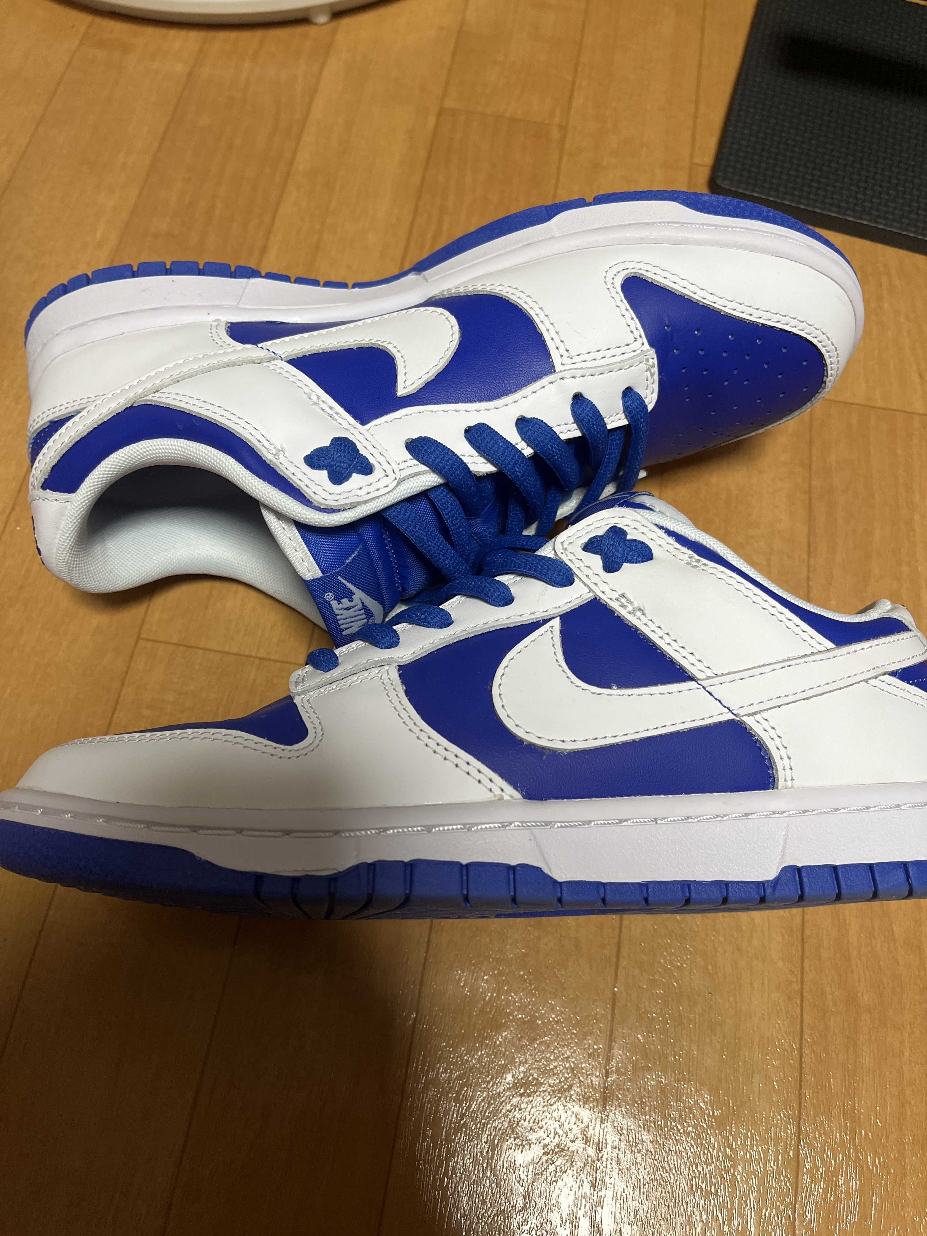 Nike Dunk Low Retro "Racer Blue and White"