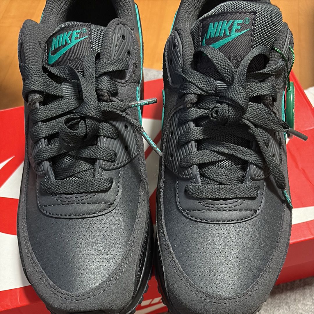 Nike Air Max 90 "Black Tiffany"