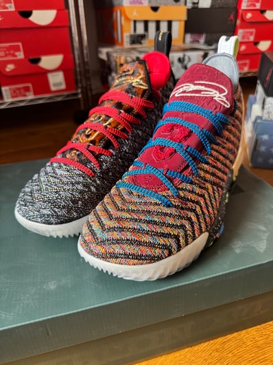 Nike LeBron 16 "What The"