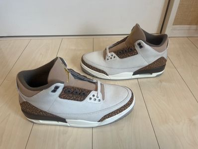 Nike Air Jordan 3 Retro "Orewood Brown"
