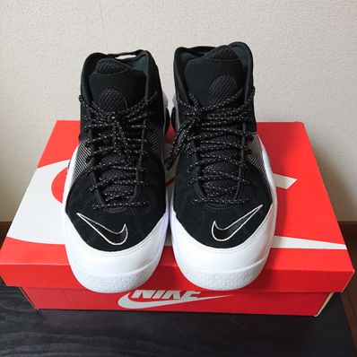 Nike Air Zoom Flight 95 "Black Metallic" (2022)