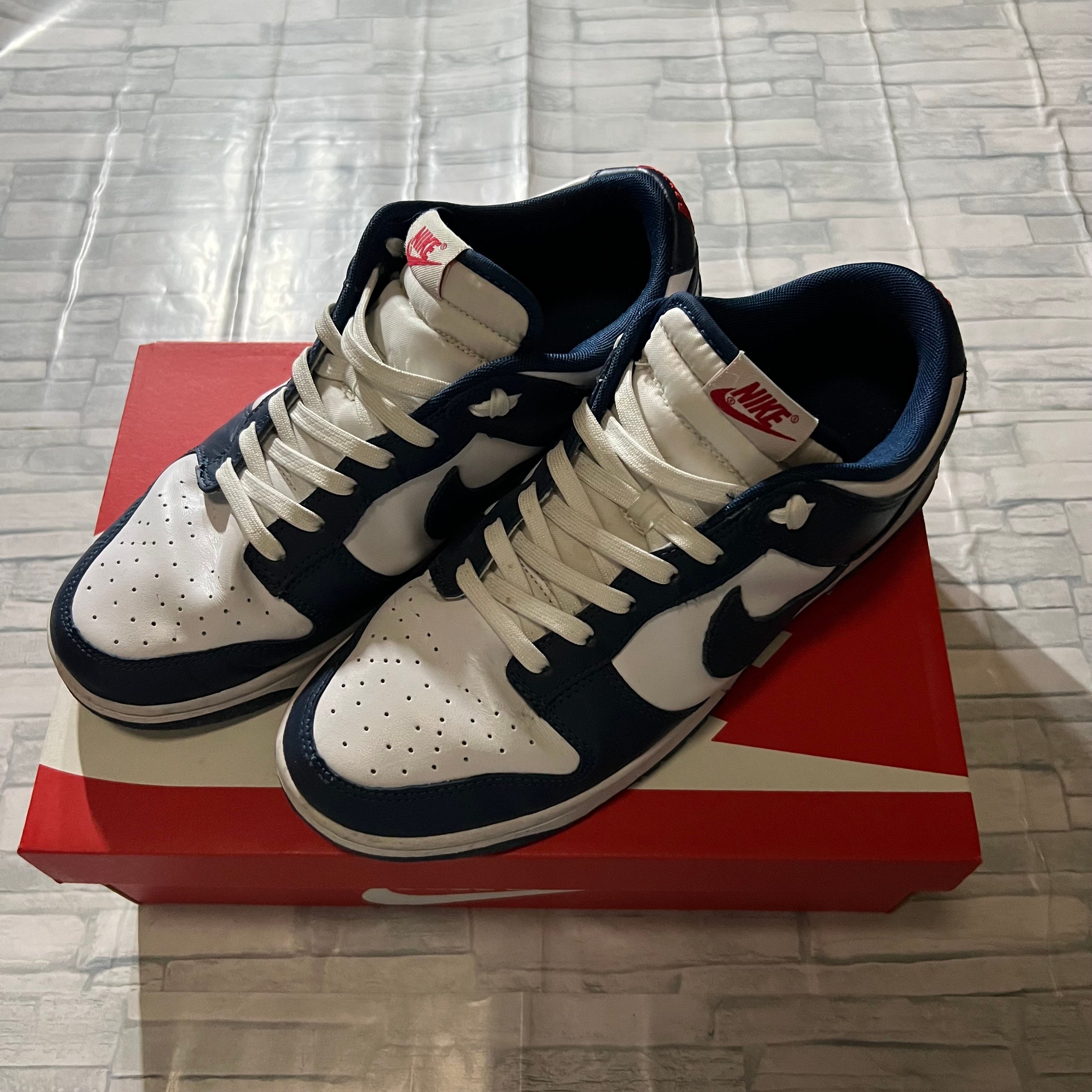 Nike Dunk Low "Valerian Blue"