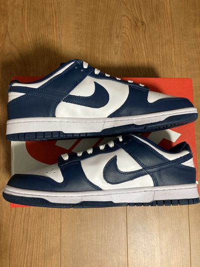 Nike Dunk Low "Valerian Blue"