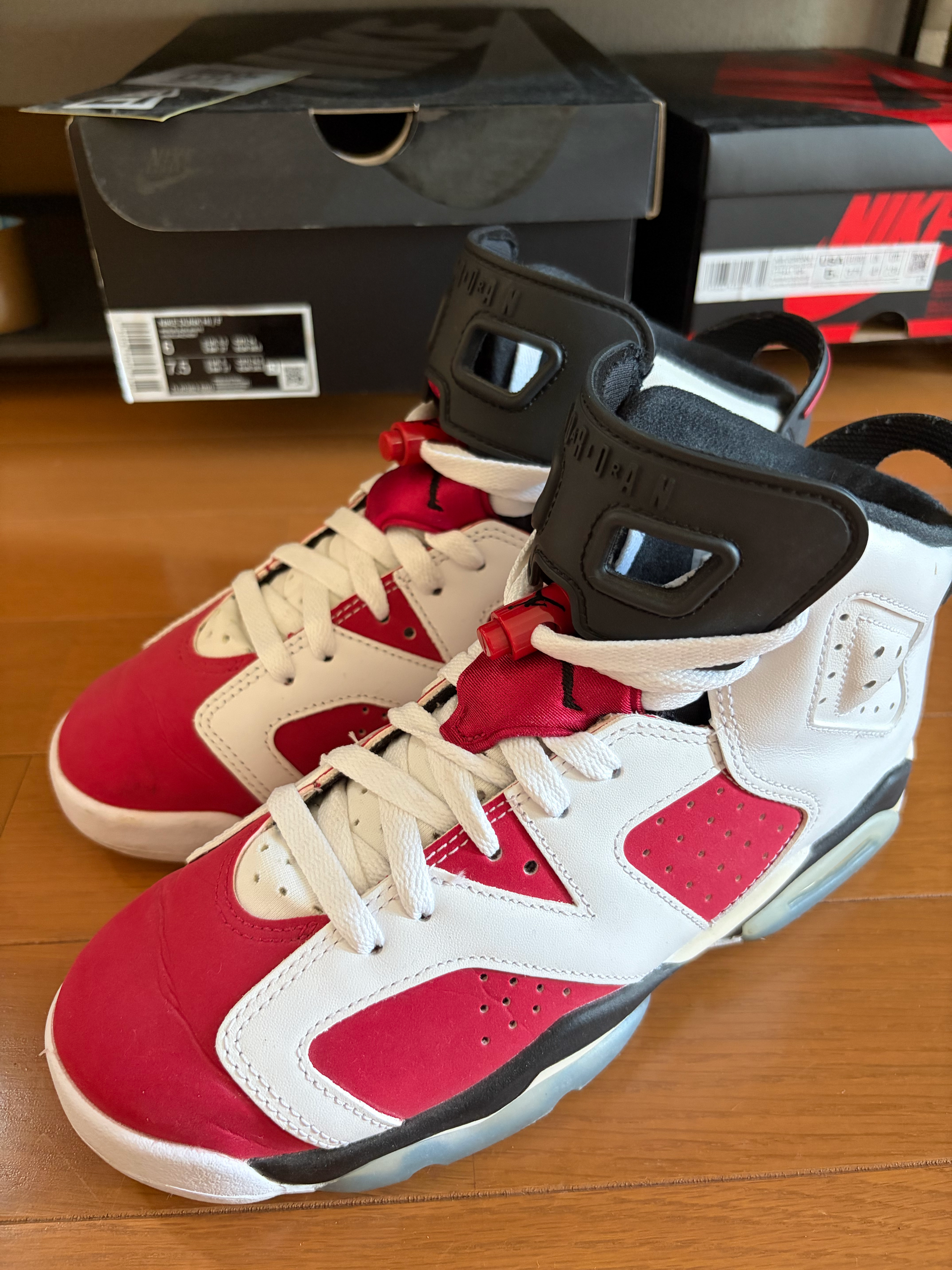 Nike Air Jordan 6 GS "Carmine" (2021)