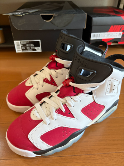 Nike Air Jordan 6 GS "Carmine" (2021)