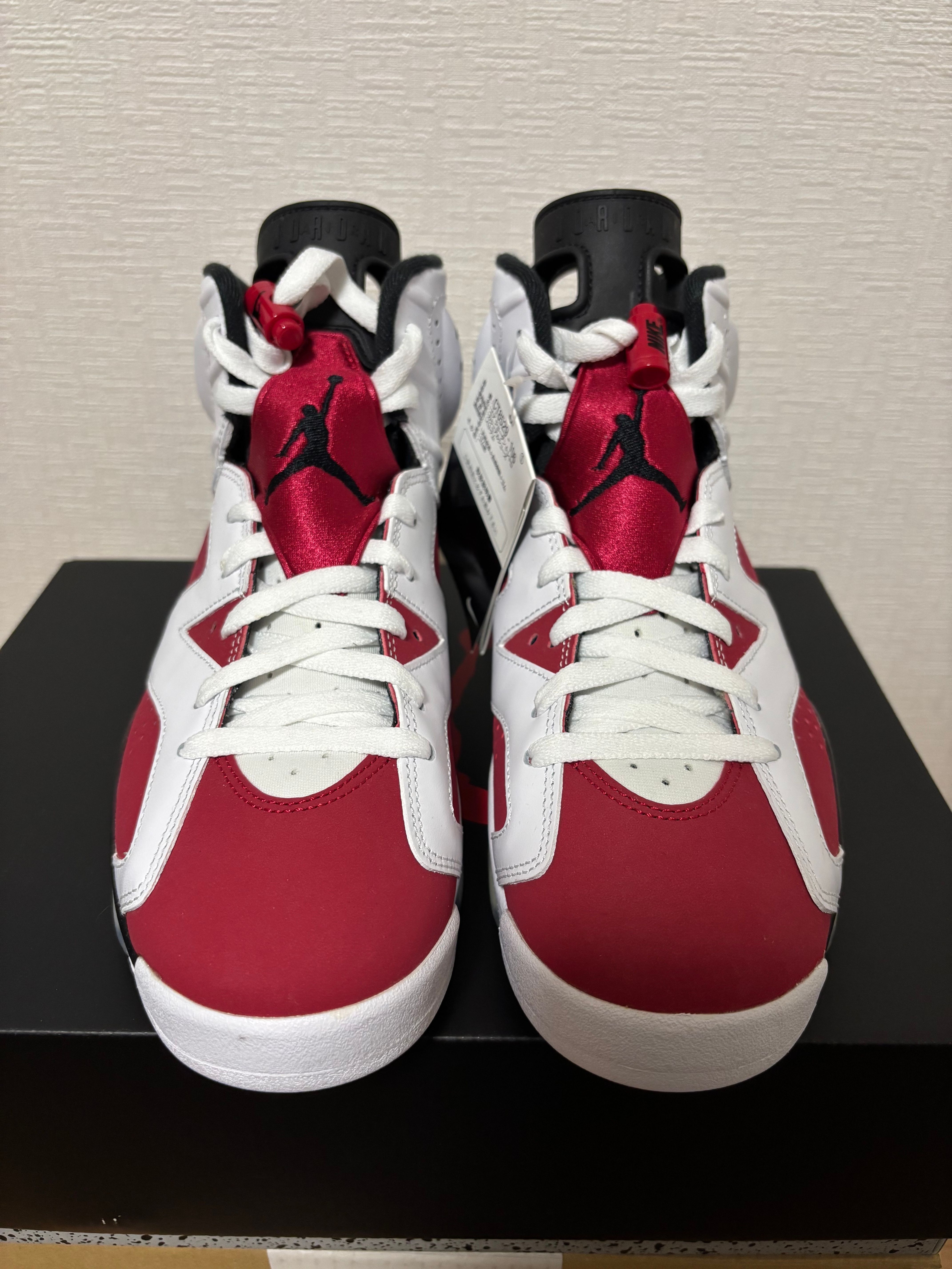 Nike Air Jordan 6 "Carmine" (2021)