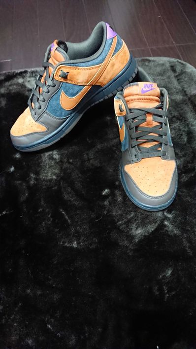 Nike Dunk Low "Cider"