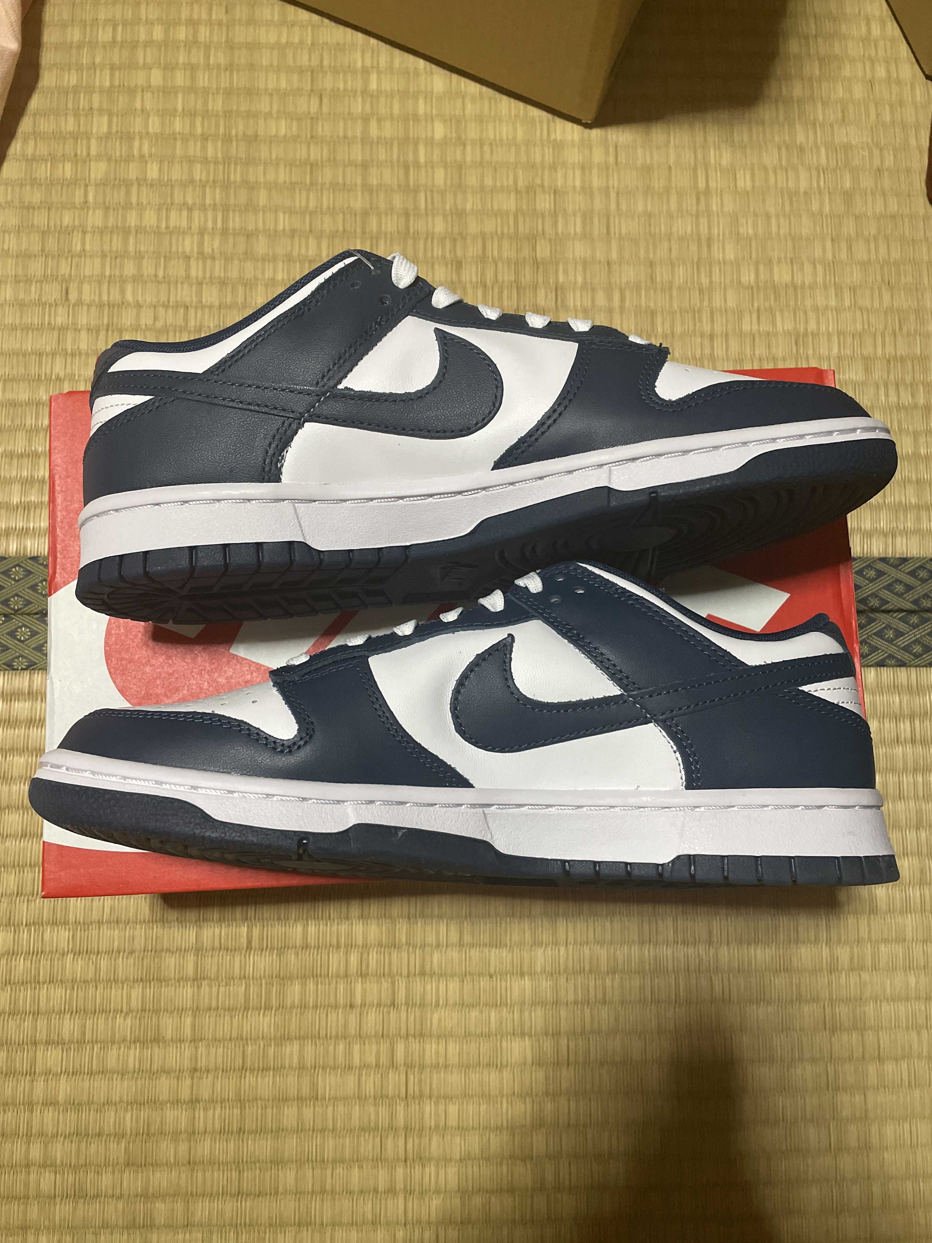 Nike Dunk Low "Valerian Blue"