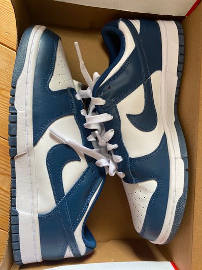 Nike Dunk Low "Valerian Blue"