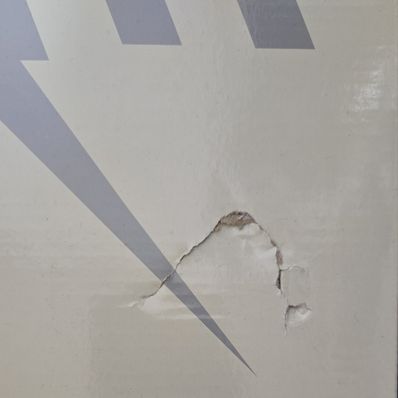 Nike SB Dunk Low Pro Electric Safari "Phantom and Black"