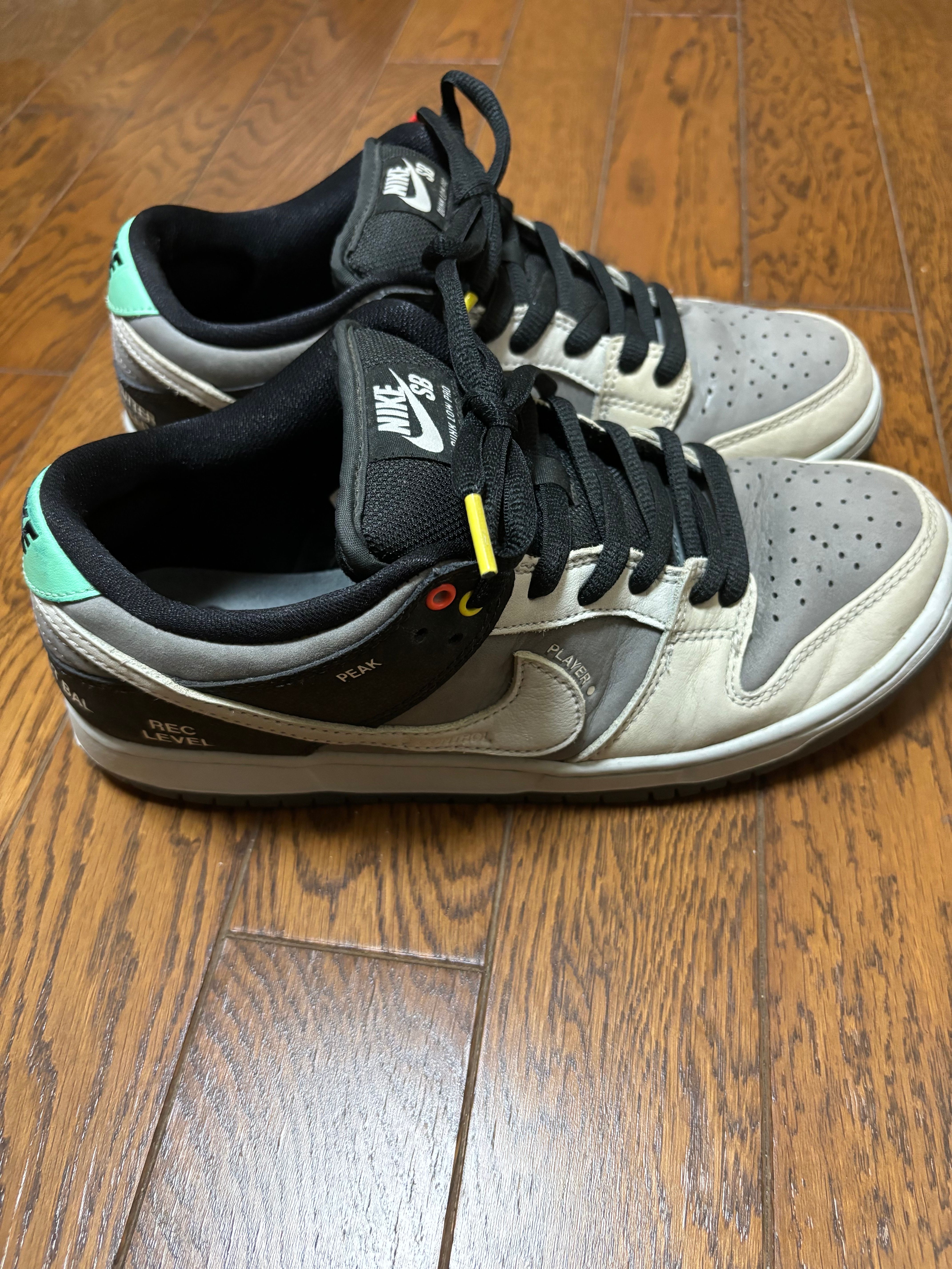 Nike SB Dunk Low Pro "VX1000 Camcorder"