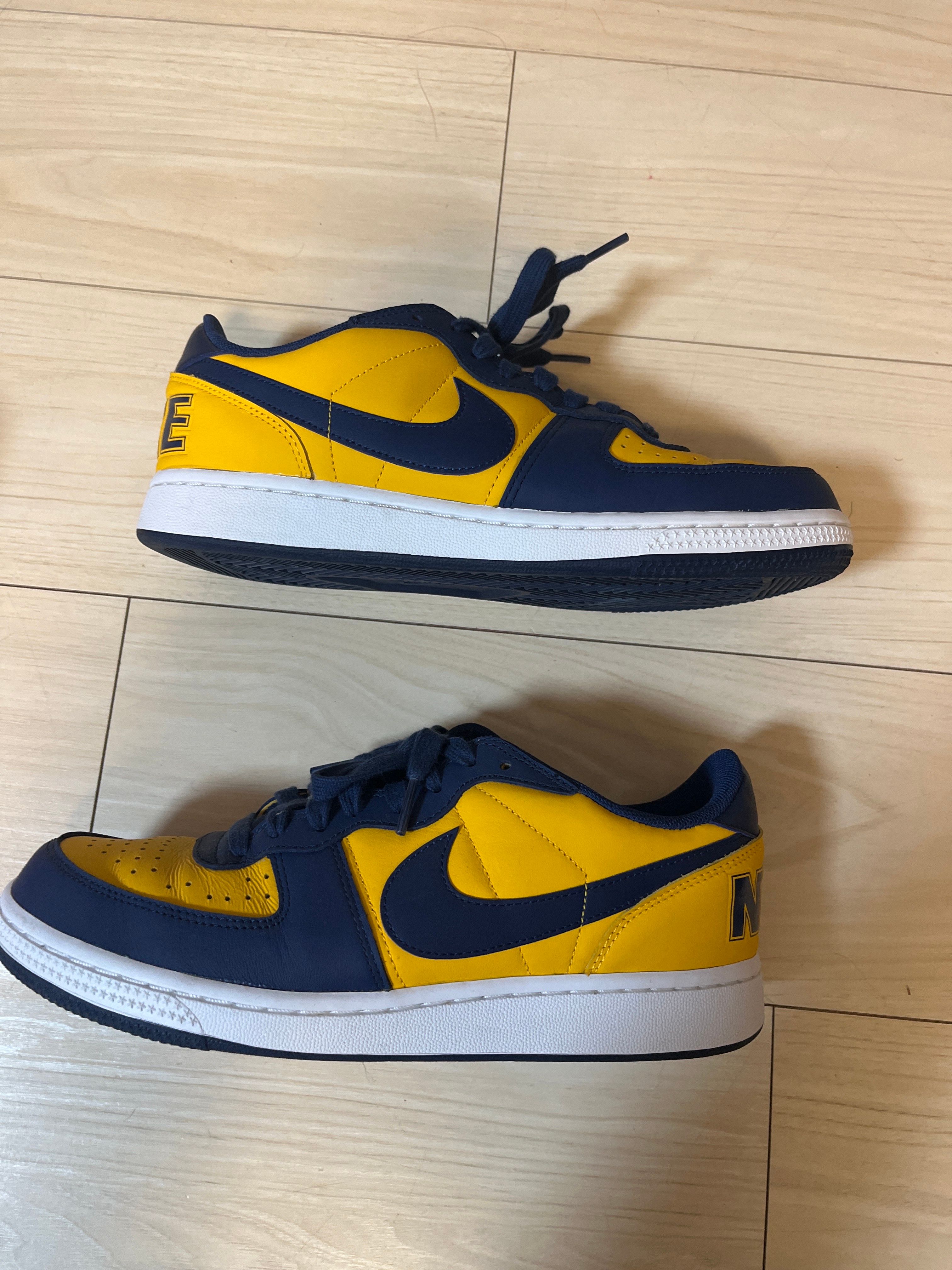 Nike Terminator Low "University Gold and Navy/Michigan"