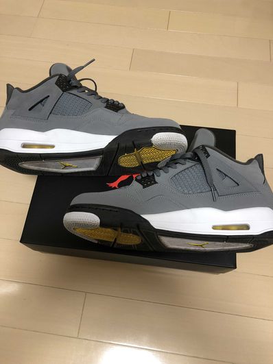 Nike Air Jordan 4 "Cool Grey"