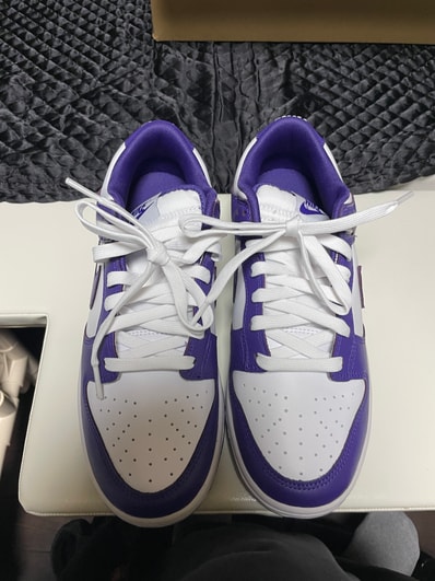 Nike Dunk Low Retro "Championship Court Purple"