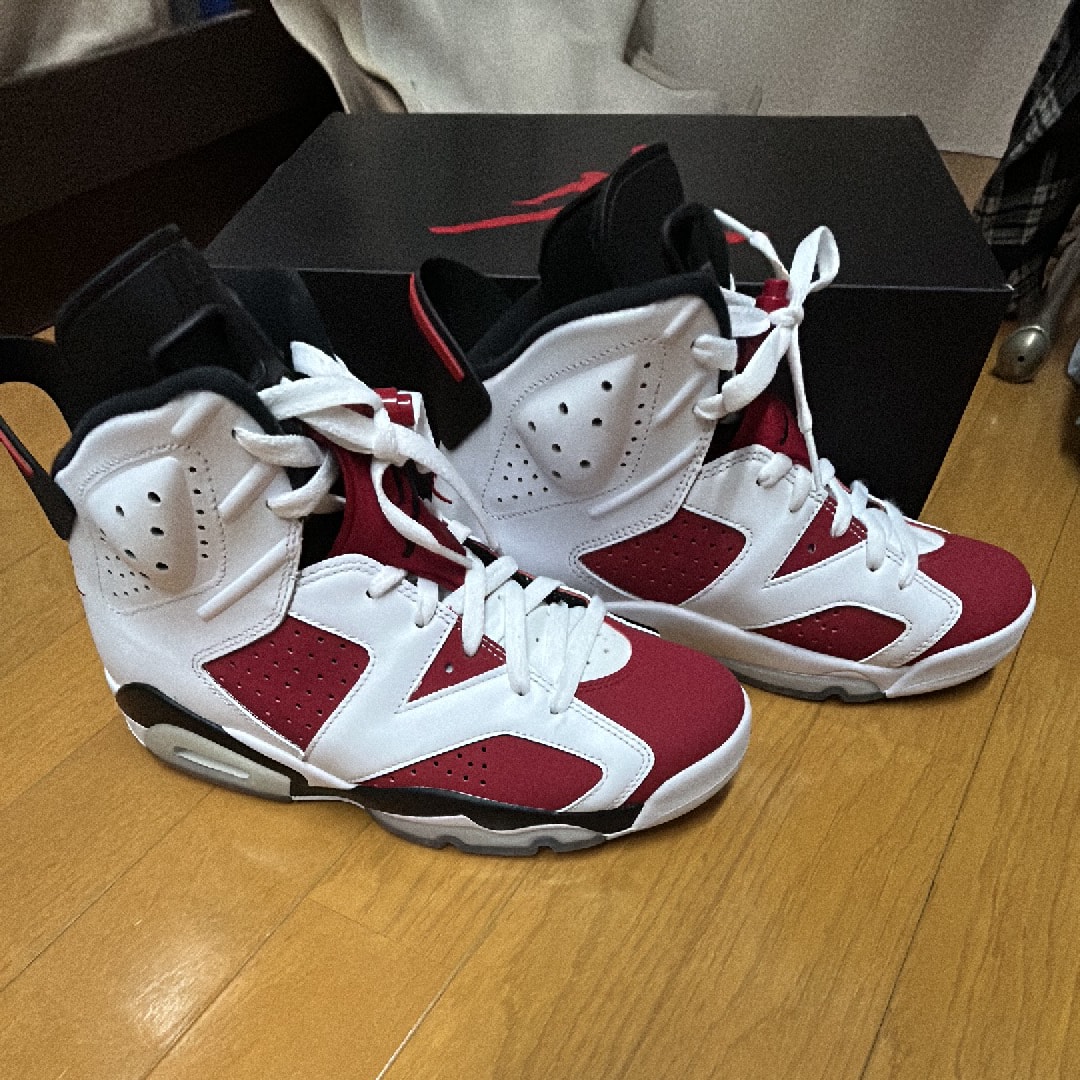 Nike Air Jordan 6 "Carmine" (2021)